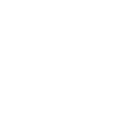 icon data centeric2