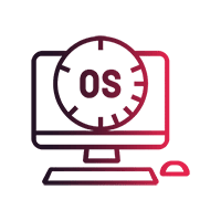 icon Any OS