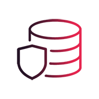 icon Data Centric Security