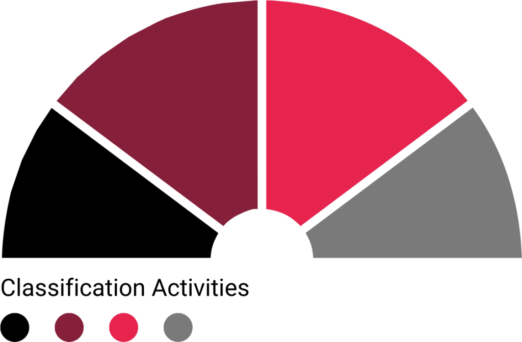 Risk Insight Classification